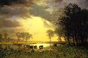 Albert Bierstadt The_Buffalo_Trail oil painting